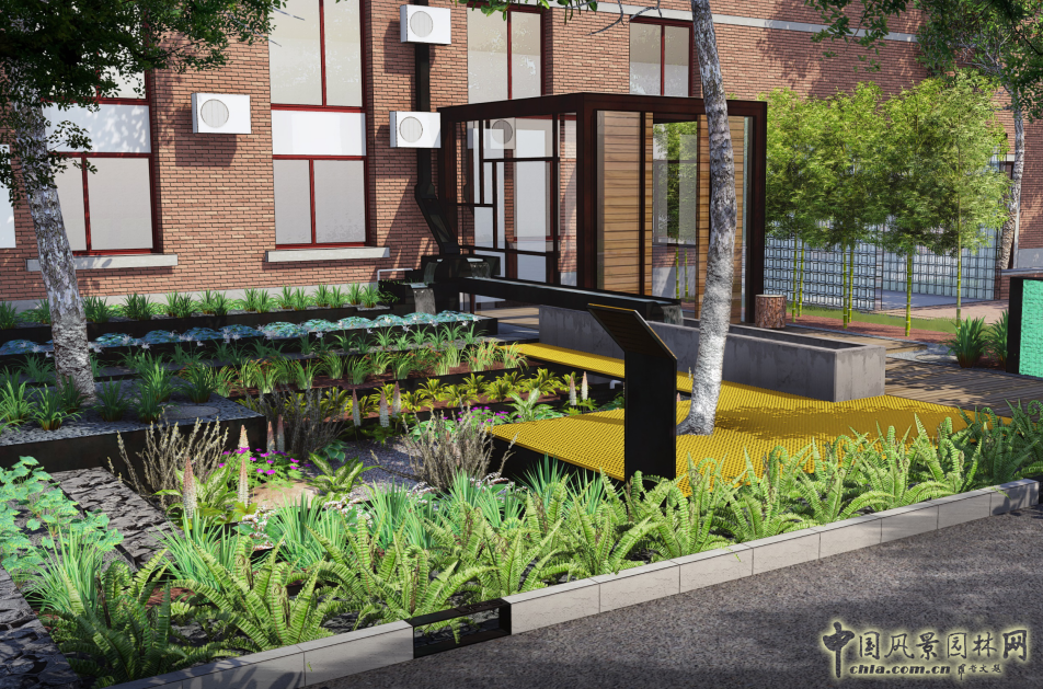 蒙小英:三低景觀下的雨水花園實(shí)踐