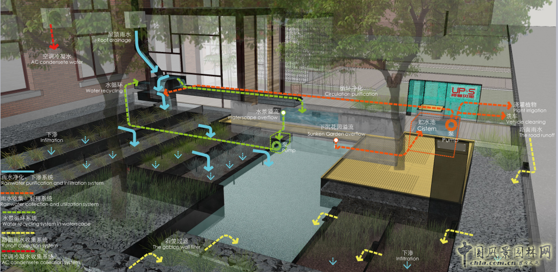 蒙小英:三低景觀下的雨水花園實踐
