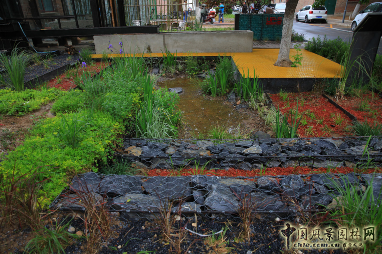 蒙小英:三低景觀下的雨水花園實踐