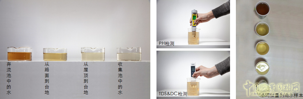 蒙小英:三低景觀下的雨水花園實(shí)踐