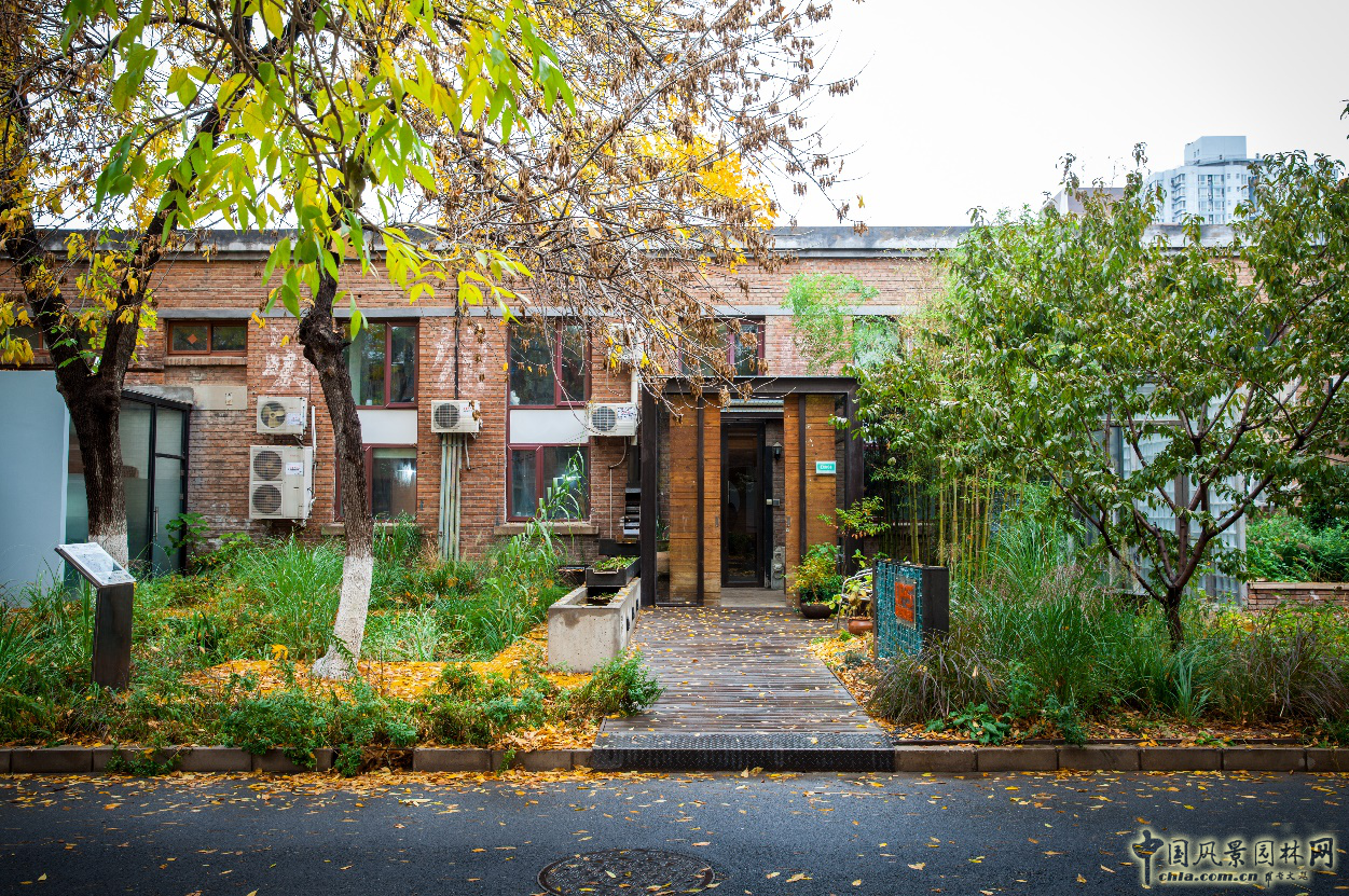 蒙小英:三低景觀下的雨水花園實踐