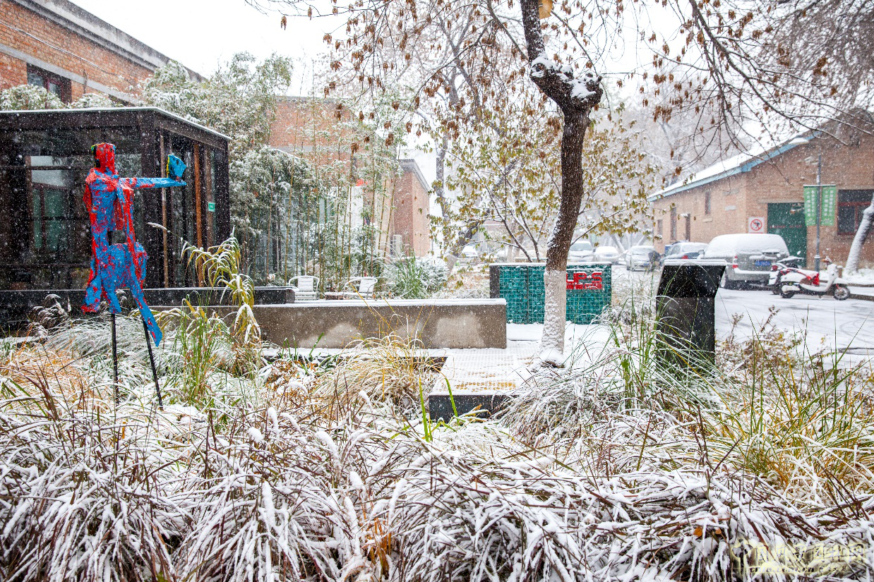 蒙小英:三低景觀下的雨水花園實踐