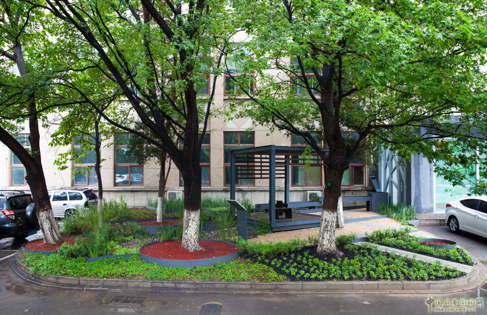 蒙小英:三低景觀下的雨水花園實踐