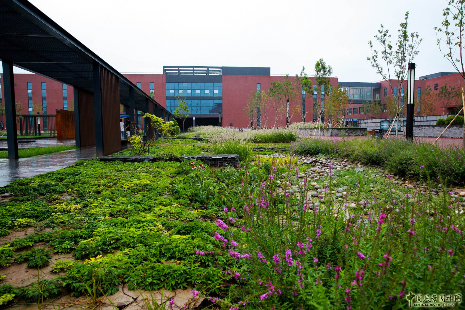 蒙小英:三低景觀下的雨水花園實踐