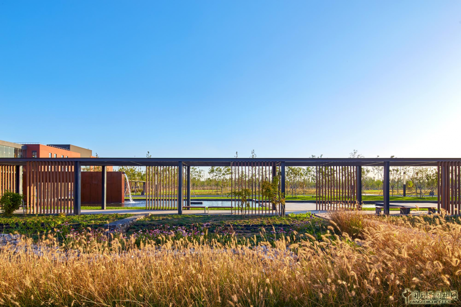 蒙小英:三低景觀下的雨水花園實踐