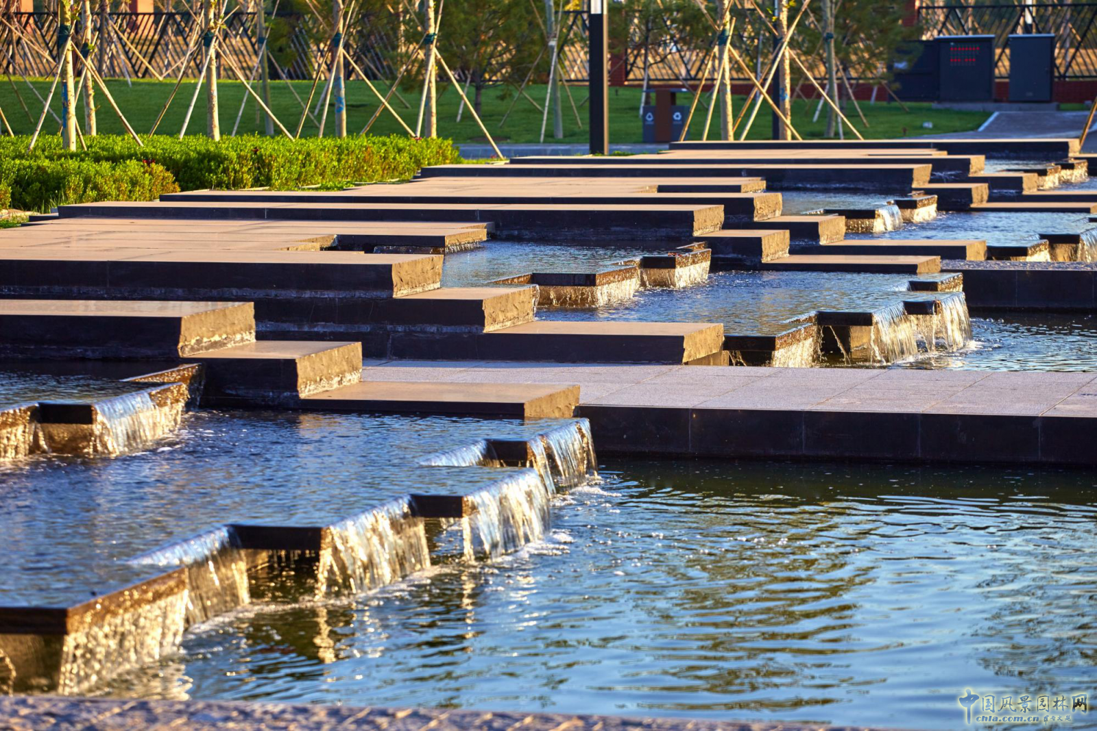 蒙小英:三低景觀下的雨水花園實踐
