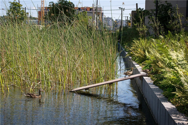 西雅圖比爾梅琳達(dá)蓋茨基金會校園