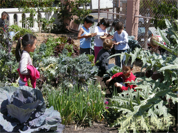 杰弗瑞?米勒：宜居城市中的綠色參與和可持續發展戰略