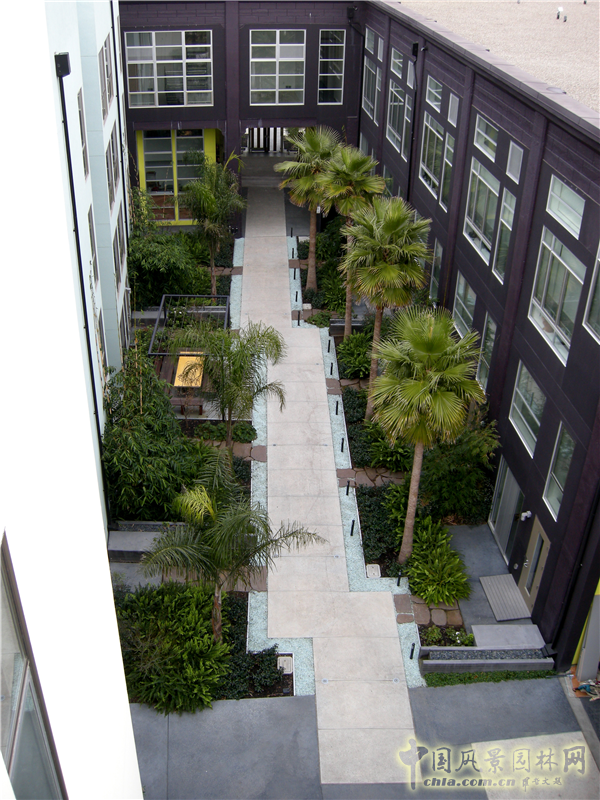 杰弗瑞?米勒：宜居城市中的綠色參與和可持續發展戰略