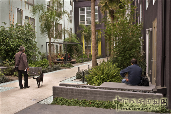 杰弗瑞?米勒：宜居城市中的綠色參與和可持續發展戰略