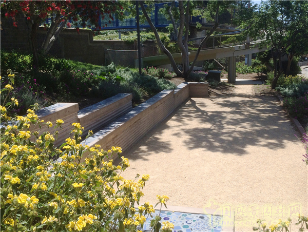 杰弗瑞?米勒：宜居城市中的綠色參與和可持續發展戰略