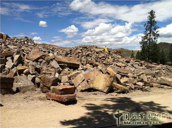 杰弗瑞?米勒：宜居城市中的綠色參與和可持續發展戰略