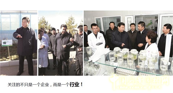 郭建梅:節(jié)水園林——蒙草遇上節(jié)水的時代