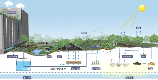 郭建梅:節水園林——蒙草遇上節水的時代