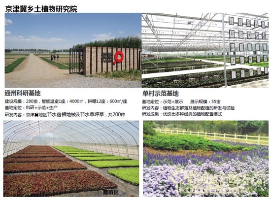 郭建梅:節水園林——蒙草遇上節水的時代