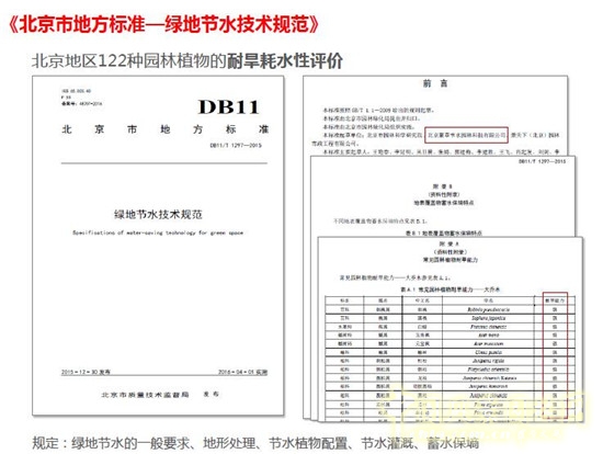 郭建梅:節水園林——蒙草遇上節水的時代