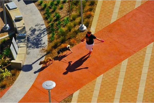 洛杉磯的城市后院——春街公園