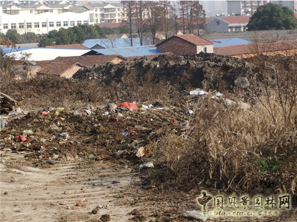 謝先禮：第十屆中國（武漢）國際園林博覽會總體規劃概述