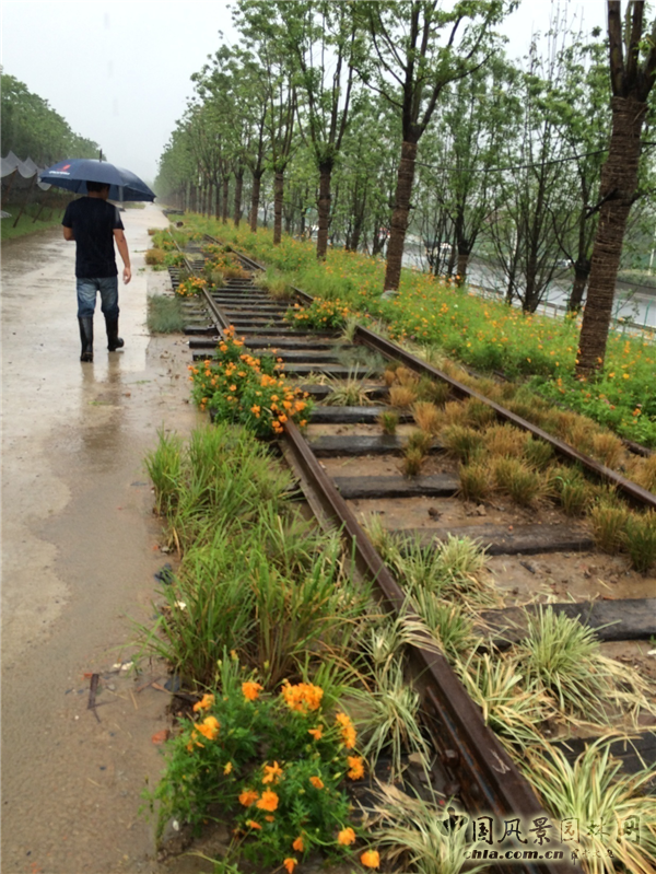 謝先禮：第十屆中國（武漢）國際園林博覽會總體規劃概述