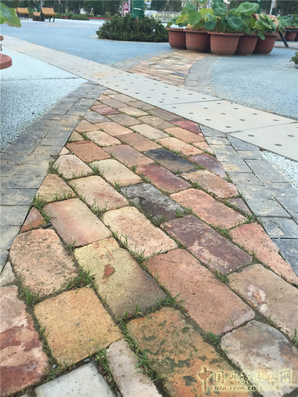 謝先禮：第十屆中國（武漢）國際園林博覽會總體規劃概述