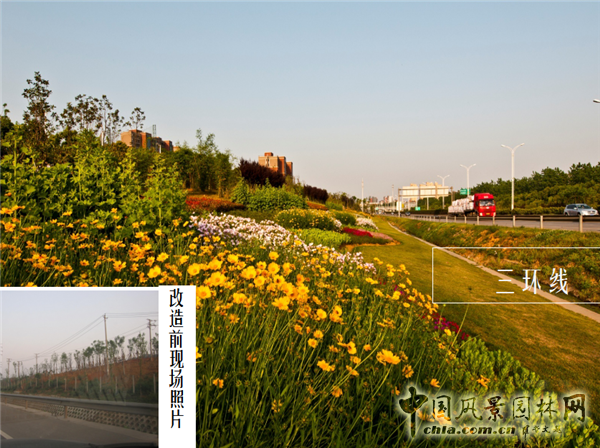 謝先禮：第十屆中國（武漢）國際園林博覽會總體規(guī)劃概述