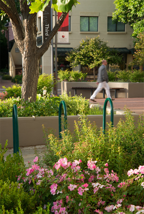 美國Cherry Creek北新區(qū)的改造