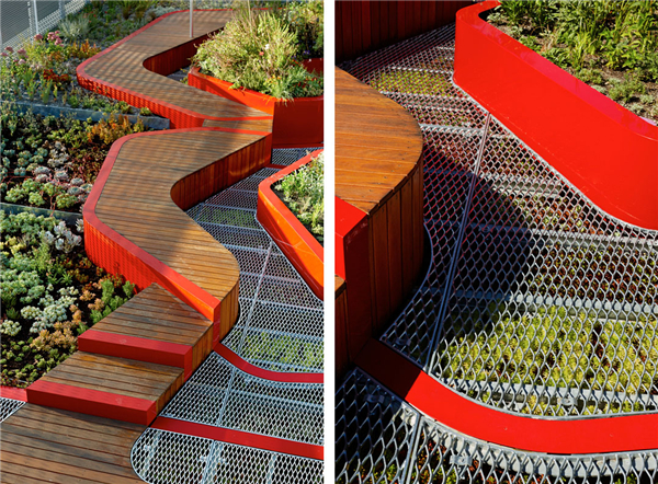 HASSELL:澳大利亞伯恩利公共屋頂花園