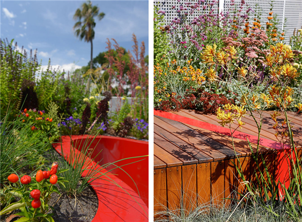 HASSELL:澳大利亞伯恩利公共屋頂花園