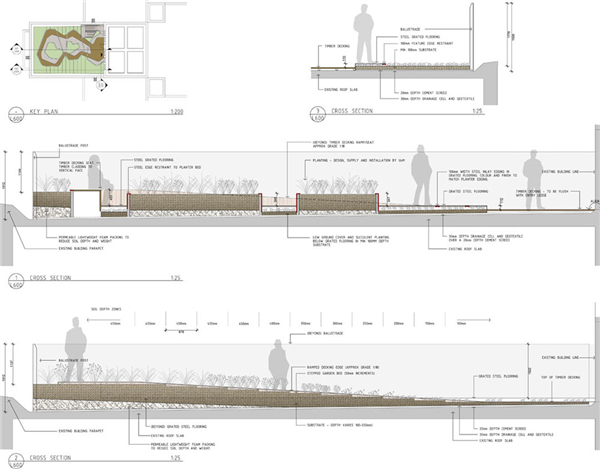 HASSELL:澳大利亞伯恩利公共屋頂花園