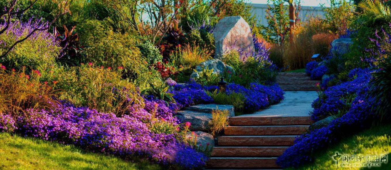 胡海波：探尋莫奈的足跡——理想瀾灣主題景觀營造