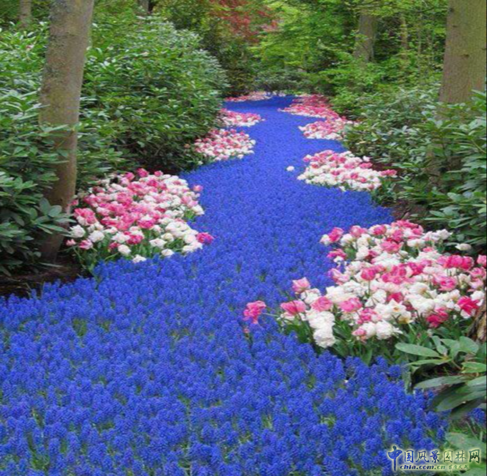 胡海波：探尋莫奈的足跡——理想瀾灣主題景觀營造