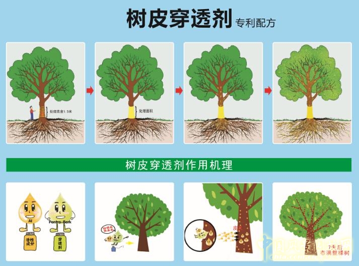 諾普信參加第18屆中國國際花卉園藝展覽會完美收官