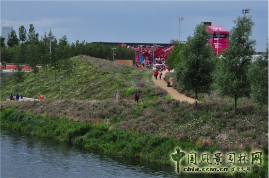 James Hitehmough：發展可持續城市的植物群落