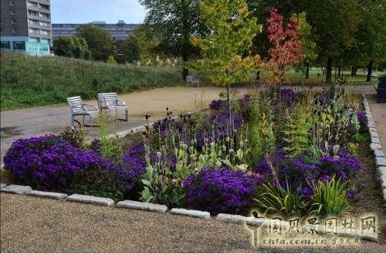 James Hitehmough：發展可持續城市的植物群落