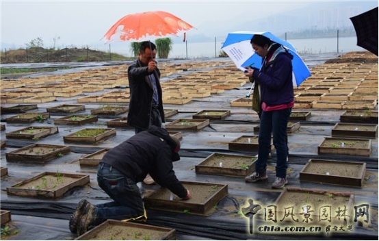 James Hitehmough：發展可持續城市的植物群落