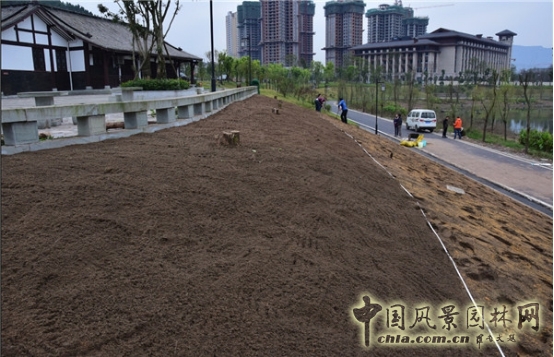 James Hitehmough：發展可持續城市的植物群落
