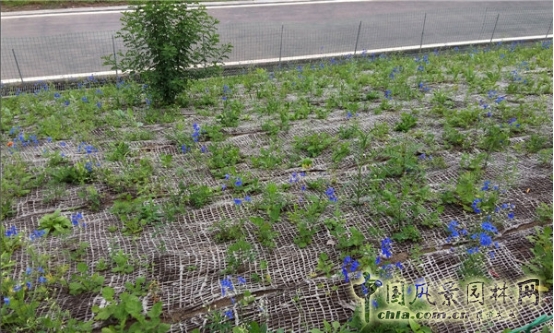 James Hitehmough：發展可持續城市的植物群落