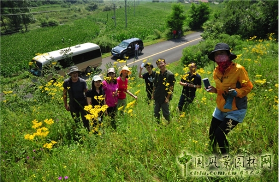 James Hitehmough：發展可持續城市的植物群落