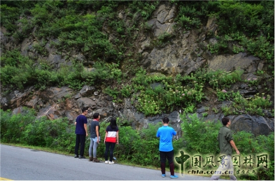 James Hitehmough：發展可持續城市的植物群落