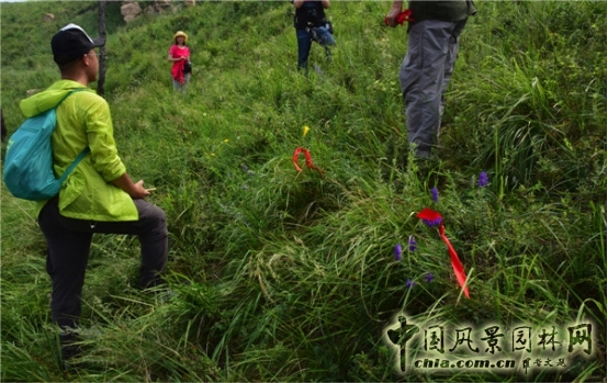 James Hitehmough：發(fā)展可持續(xù)城市的植物群落