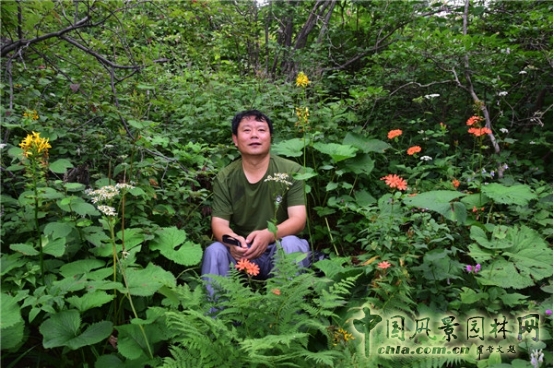 James Hitehmough:發(fā)展可持續(xù)城市的植物群落