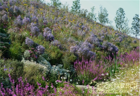 James Hitehmough:發展可持續城市的植物群落