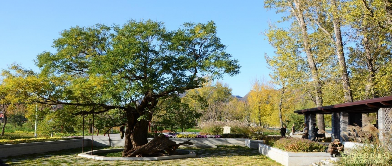 北京園林院張新宇董事長論海綿城市與風景園林