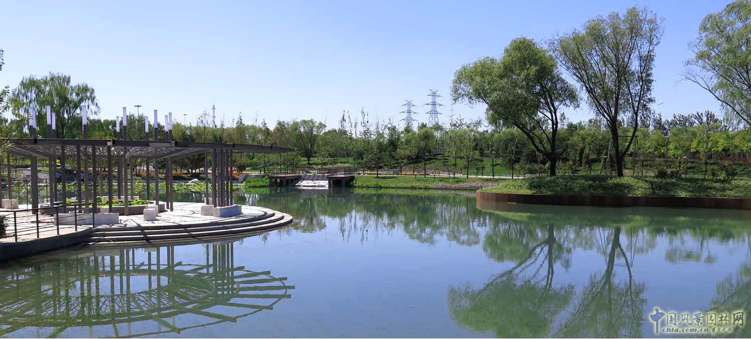 北京園林院張新宇董事長論海綿城市與風景園林