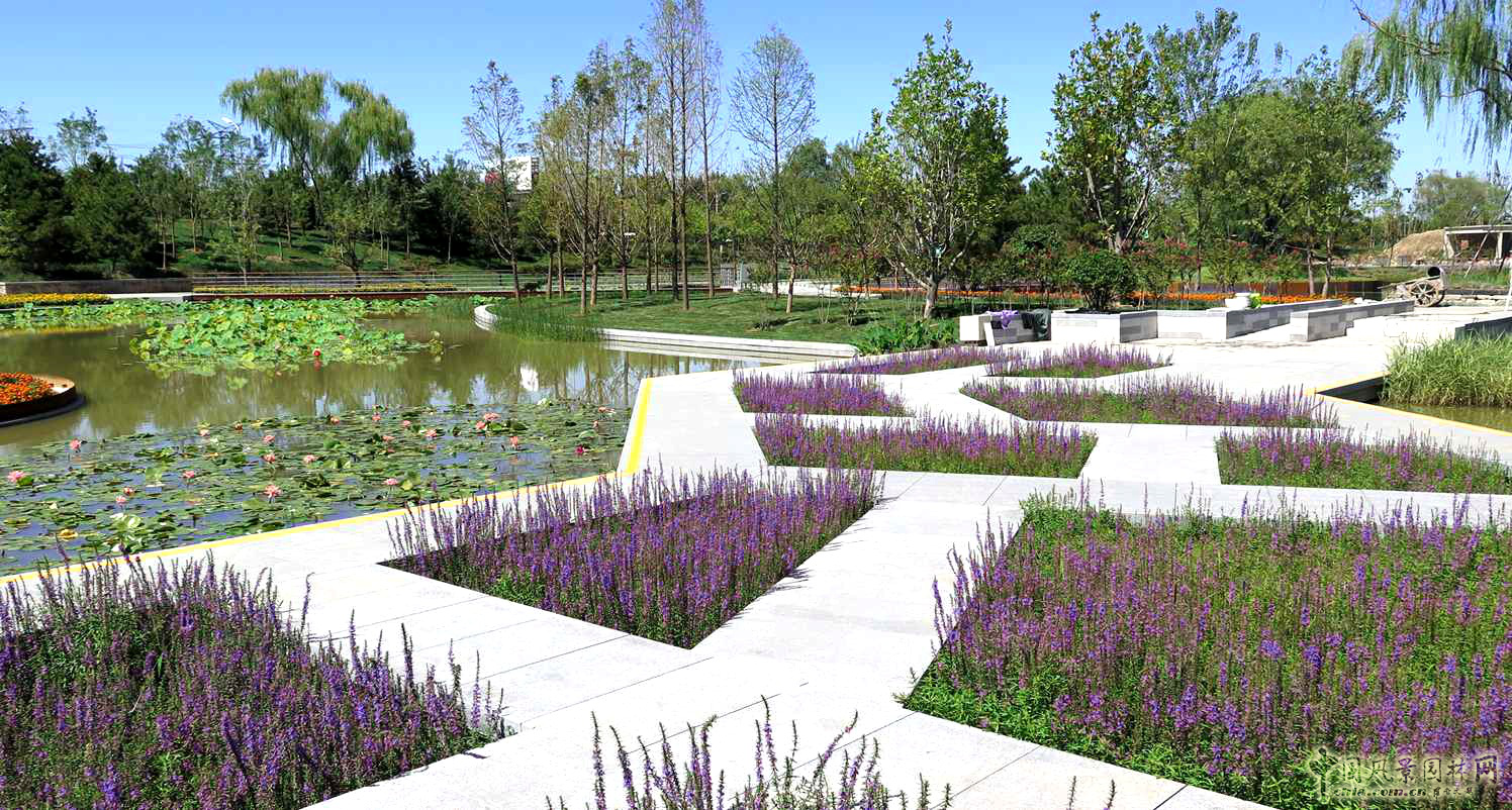 北京園林院張新宇董事長論海綿城市與風景園林