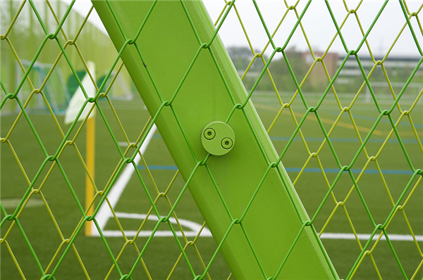 瑞士:蘇黎世Heerenschürli體育公園