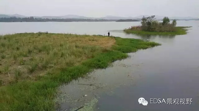 關于舉辦濕地公園案例項目考察的邀請函