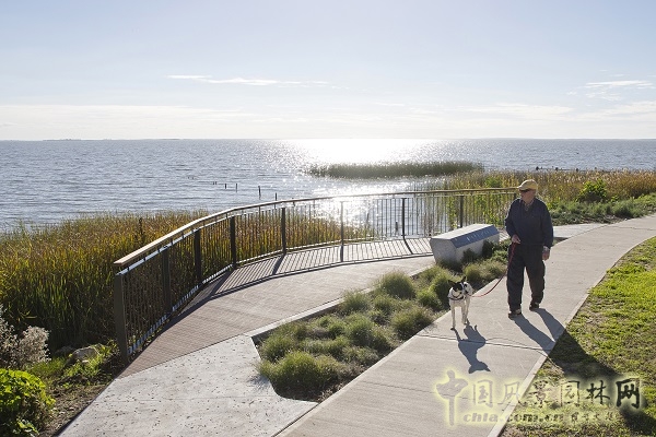 澳大利亞梅寧吉鎮湖畔棲息地修復項目