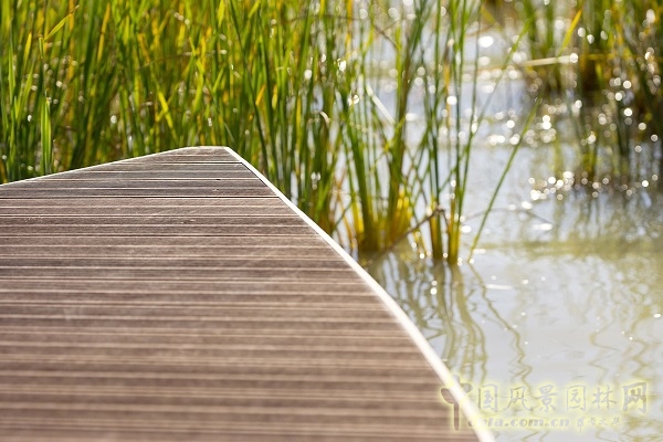 澳大利亞梅寧吉鎮湖畔棲息地修復項目