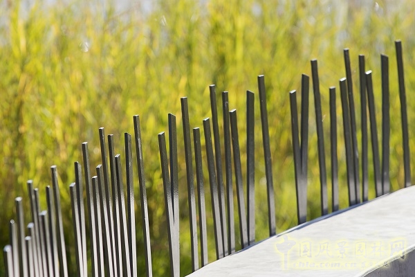 澳大利亞梅寧吉鎮湖畔棲息地修復項目